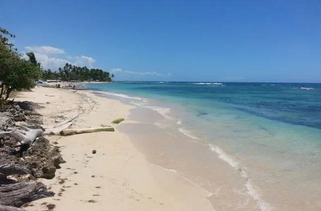 Beach Fior Di Loto Juan Dolio Dominican Republic